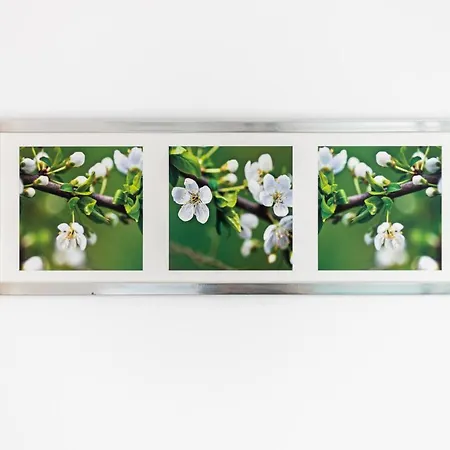 Apartment Victus Apartamenty, Sunshine *