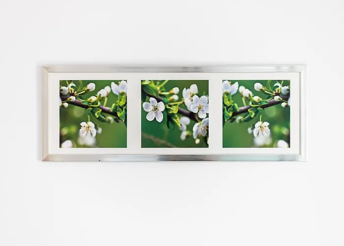 公寓 Victus Apartamenty, Sunshine *